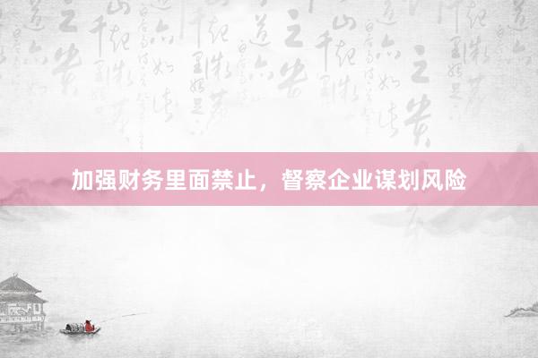 加强财务里面禁止，督察企业谋划风险