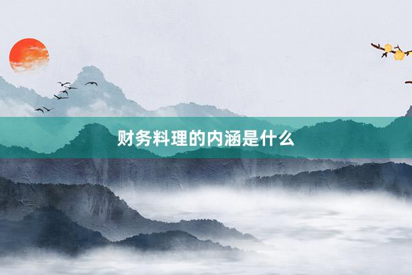 财务料理的内涵是什么